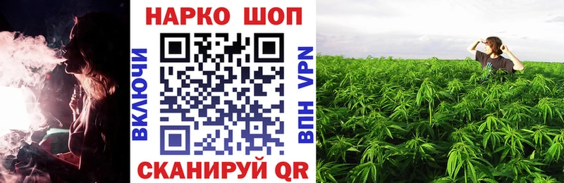 Как найти наркотики Курчатов Каннабис  Экстази  Альфа ПВП  Псилоцибиновые грибы  ГАШ  Меф мяу мяу  Cocaine 
