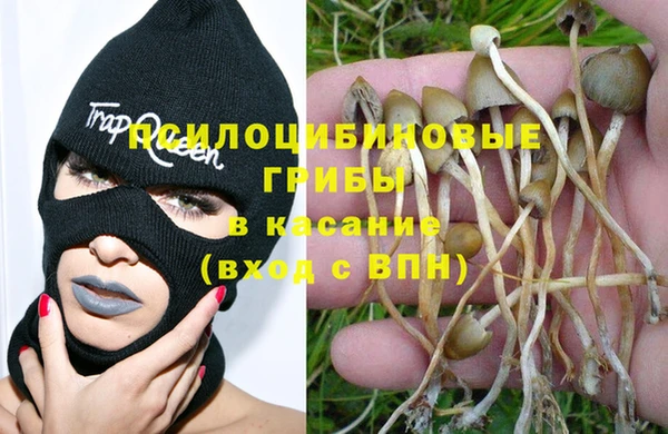 герыч Бронницы